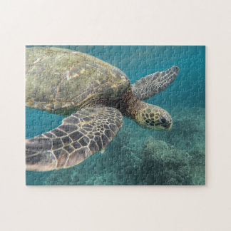Sea Turtle Puzzle