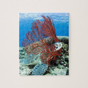 Sea Turtle Resting Jigsaw Puzzle