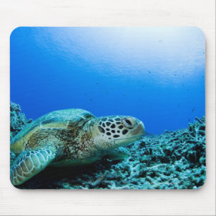 Sea turtle resting underwater mouse pad