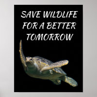 Sea Turtle, Save Wildlife for a Better Tomorrow