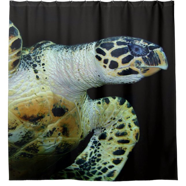 Sea Turtle Shower Curtain (Front)
