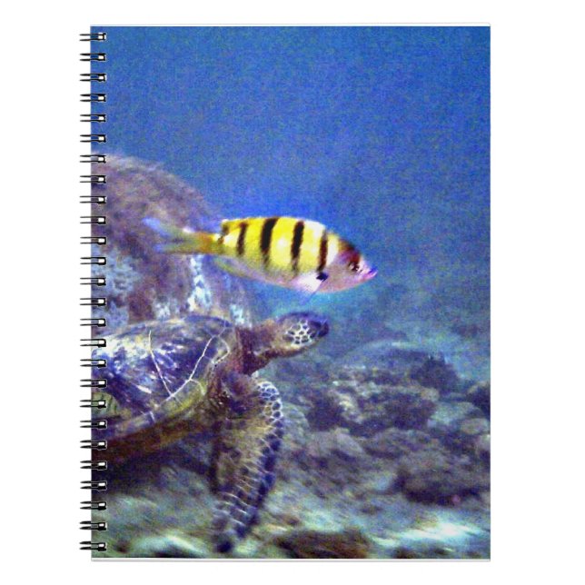 Sea turtle  spiral notebook (Front)