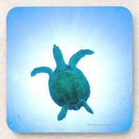 Sea turtle swimming underwater