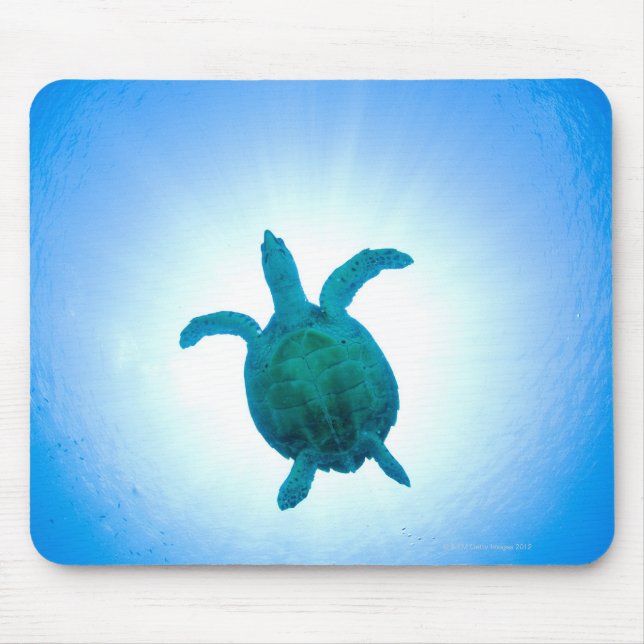 Sea turtle swimming underwater mouse pad (Front)