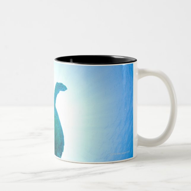 Sea turtle swimming underwater Two-Tone coffee mug (Right)