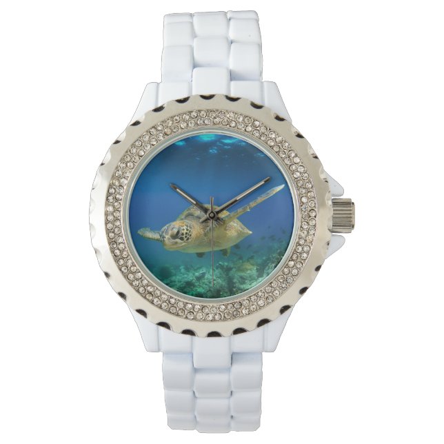 Sea turtle swimming underwater watch (Front)