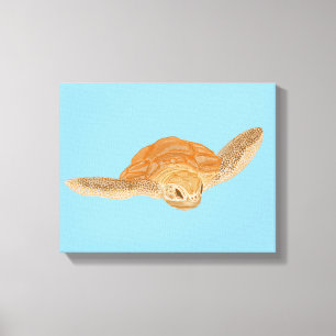 Sea Turtle under Water - transparent. Canvas Print