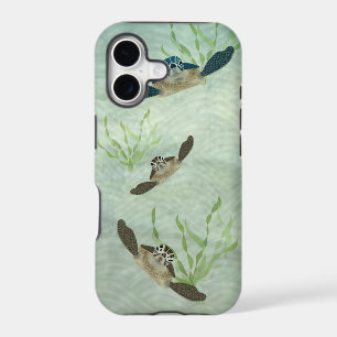 Sea Turtles