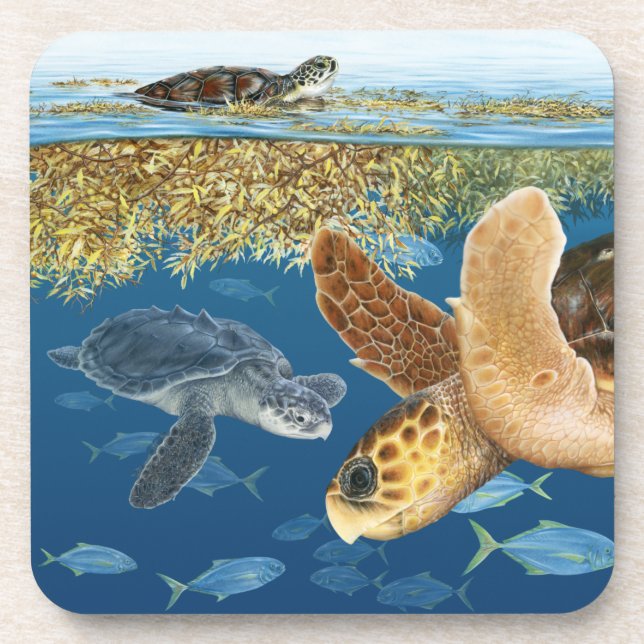 Sea Turtles in Habitat Coasters (Front)