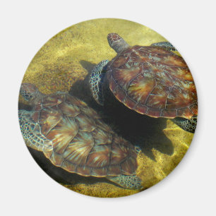 Sea Turtles Magnet