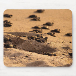Sea Turtles Mouse Pad