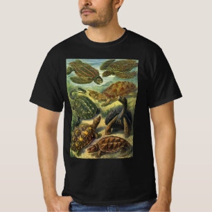 Sea Turtles Vintage Land Tortoise by Ernst Haeckel T-Shirt