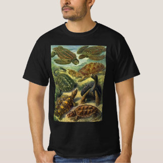 Sea Turtles Vintage Land Tortoise by Ernst Haeckel T-Shirt