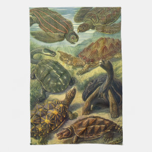 Sea Turtles Vintage Land Tortoise by Ernst Haeckel Tea Towel