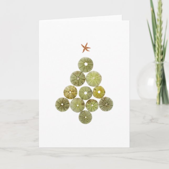 Sea Urchin Christmas Tree Holiday Card (Front)
