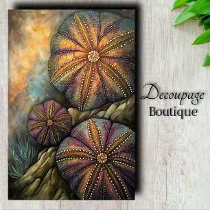Sea Urchin Decoupage Tissue Paper
