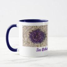 Sea Urchin Ocean Beach Holiday Summer Souvenir