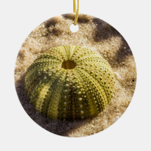 Sea Urchin on beach Ceramic Tree Decoration