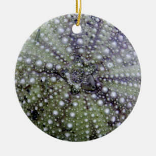 Sea Urchin Seashell Ceramic Tree Decoration