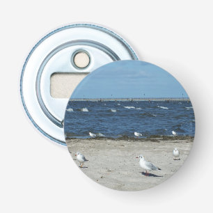 sea, water, seagull, bird, travel, blue, sky, bottle opener