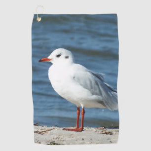 sea, water, seagull, bird, travel, blue, sky, golf towel