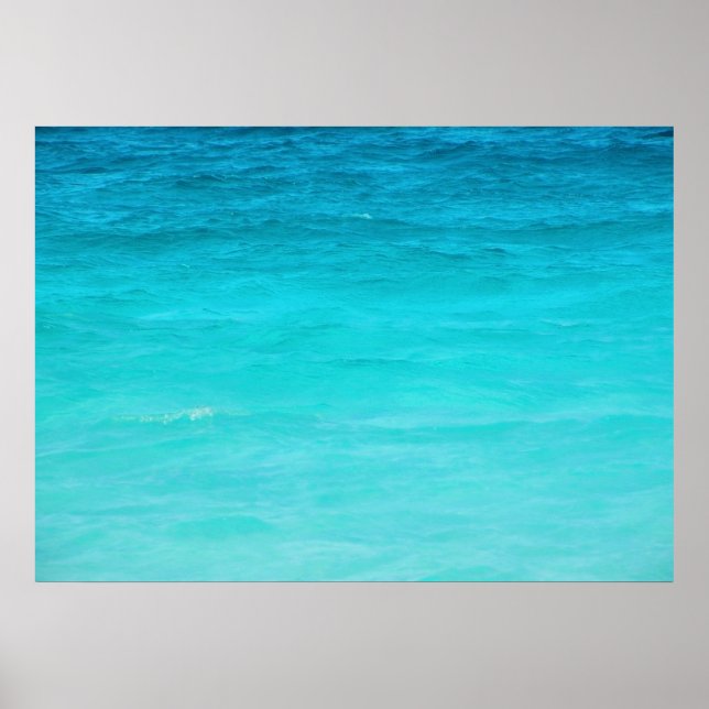 seaaa poster (Front)