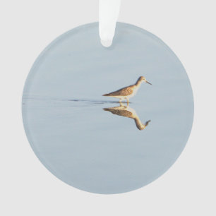 Seabird Reflection Photo Ornament 