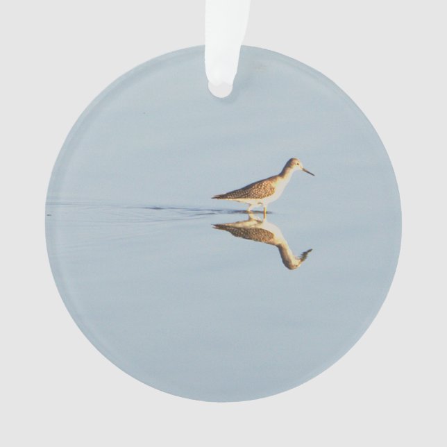 Seabird Reflection Photo Ornament  (Front)