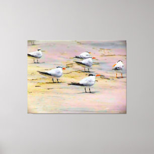Seabirds on Tranquil Shore Canvas Print