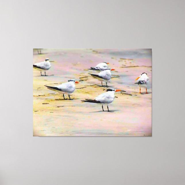 Seabirds on Tranquil Shore Canvas Print (Front)