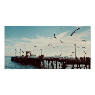 Seabirds Over the Pier Poster