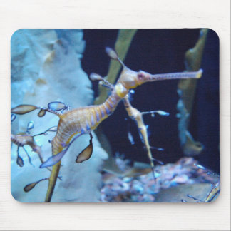 SeaDragon Mouse Pad