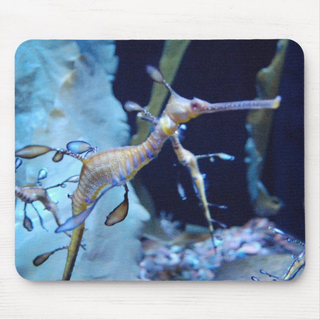 SeaDragon Mouse Pad (Front)