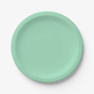 Seafoam Green Solid Color Paper Plate