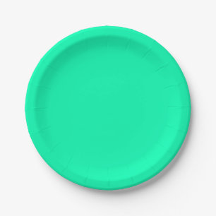 Seafoam Green Solid Colour Classic Elegant Paper Plate