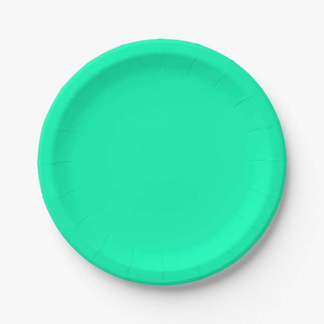 Seafoam Green Solid Colour | Classic | Elegant Paper Plate (Front)