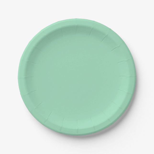 Seafoam Green Solid Colour Paper Plate (Front)