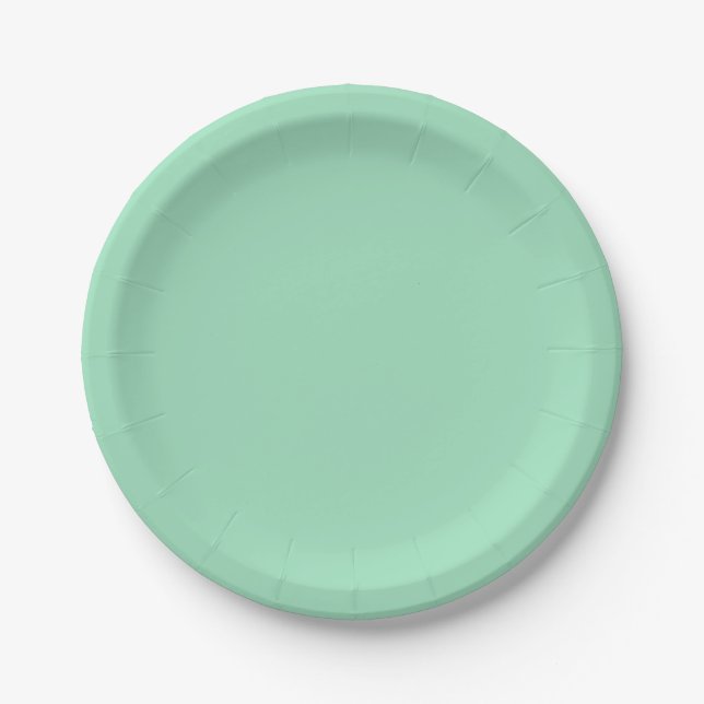 Seafoam Green Solid Colour Paper Plate (Front)