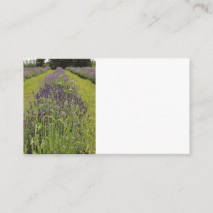 Seafoam Lavender Farm Business Cards