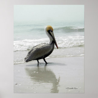 SeaFog Pelican Poster