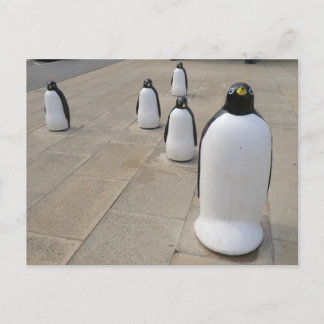 Seafront Penguins Postcard