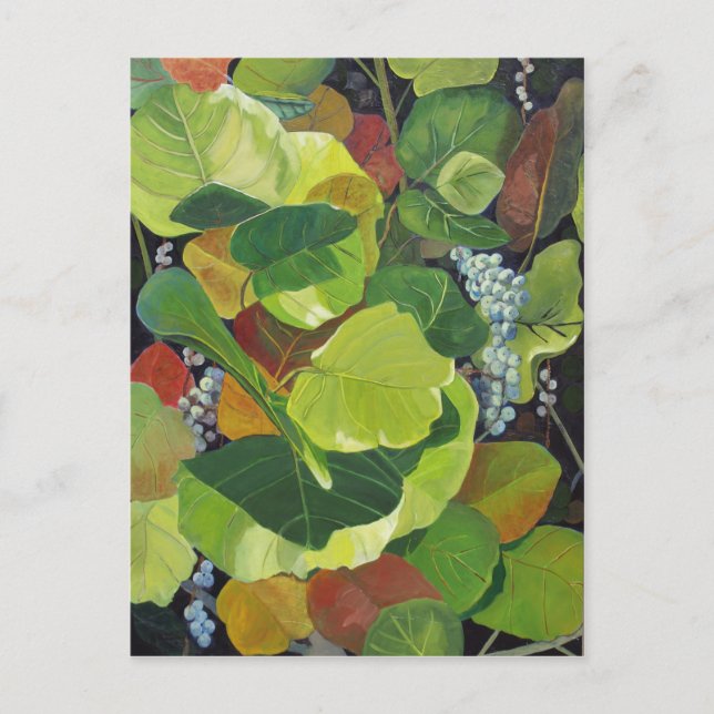 Seagrape Postcard (Front)