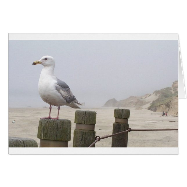 Seagull (Front Horizontal)