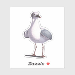 Seagull