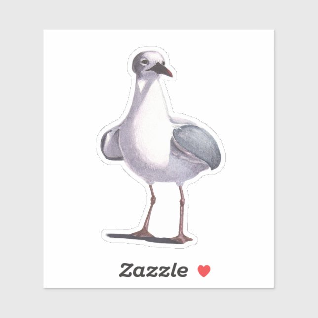 Seagull (Sheet)