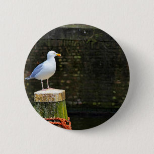 Seagull 6 Cm Round Badge