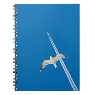 Seagull and aeroplane spiral notebook