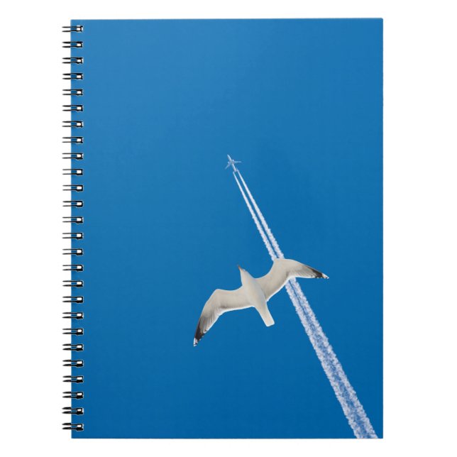 Seagull and aeroplane spiral notebook (Front)