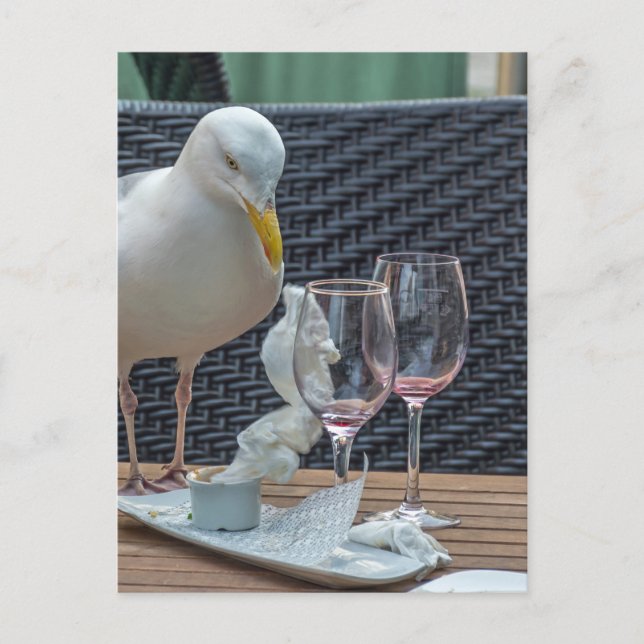 Seagull and empty glasses view postcard (Front)