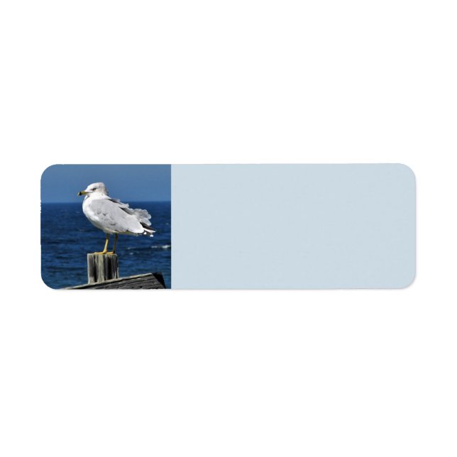 Seagull and Ocean Return Address Labels (Front)